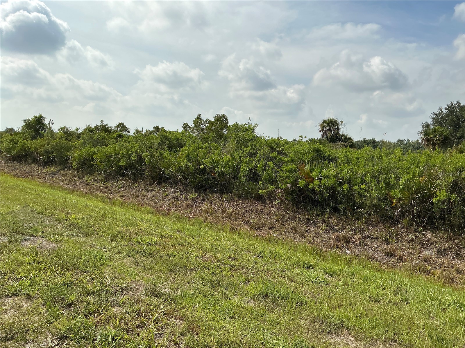 20692 NW 282nd Street Okeechobee FL 34972 OM728572 image3