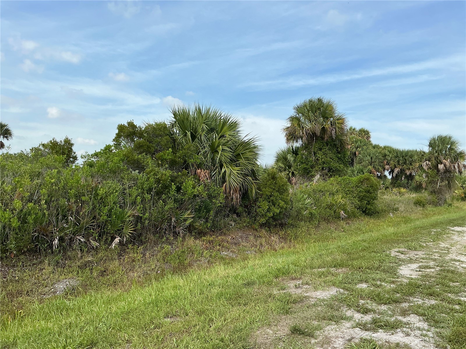 20692 NW 282nd Street Okeechobee FL 34972 OM728572 image4
