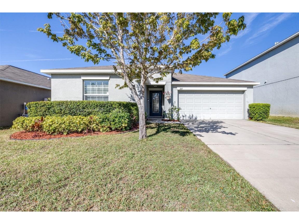 207 Archcliffe Point Place Dover FL 33527 TB8365648 image1