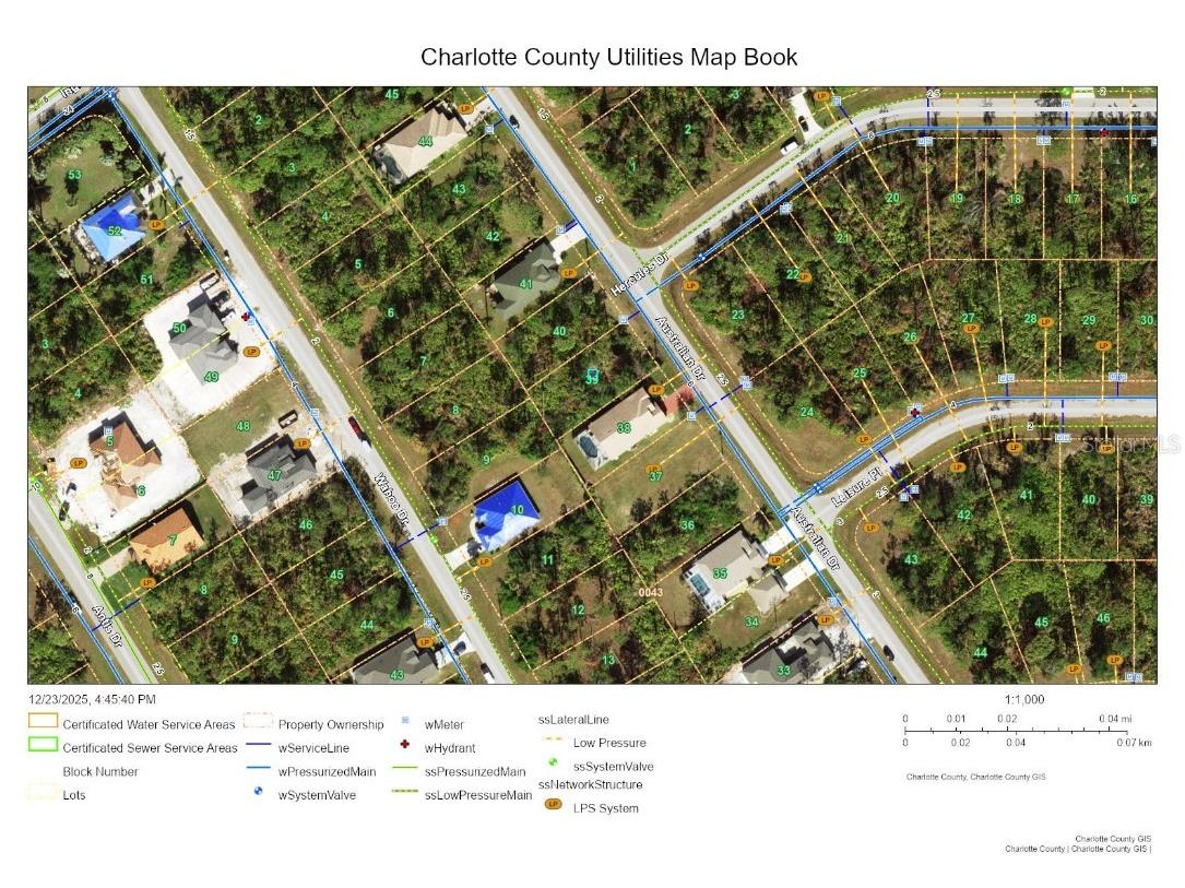 207 Australian Drive Rotonda West FL 33947 D6145309 image3