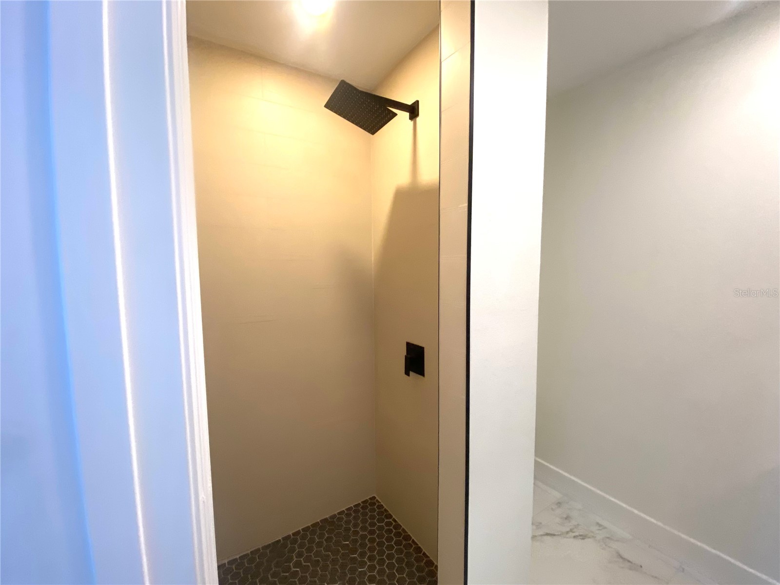207 Avenue E SE Winter Haven FL 33880 L4961631 image22