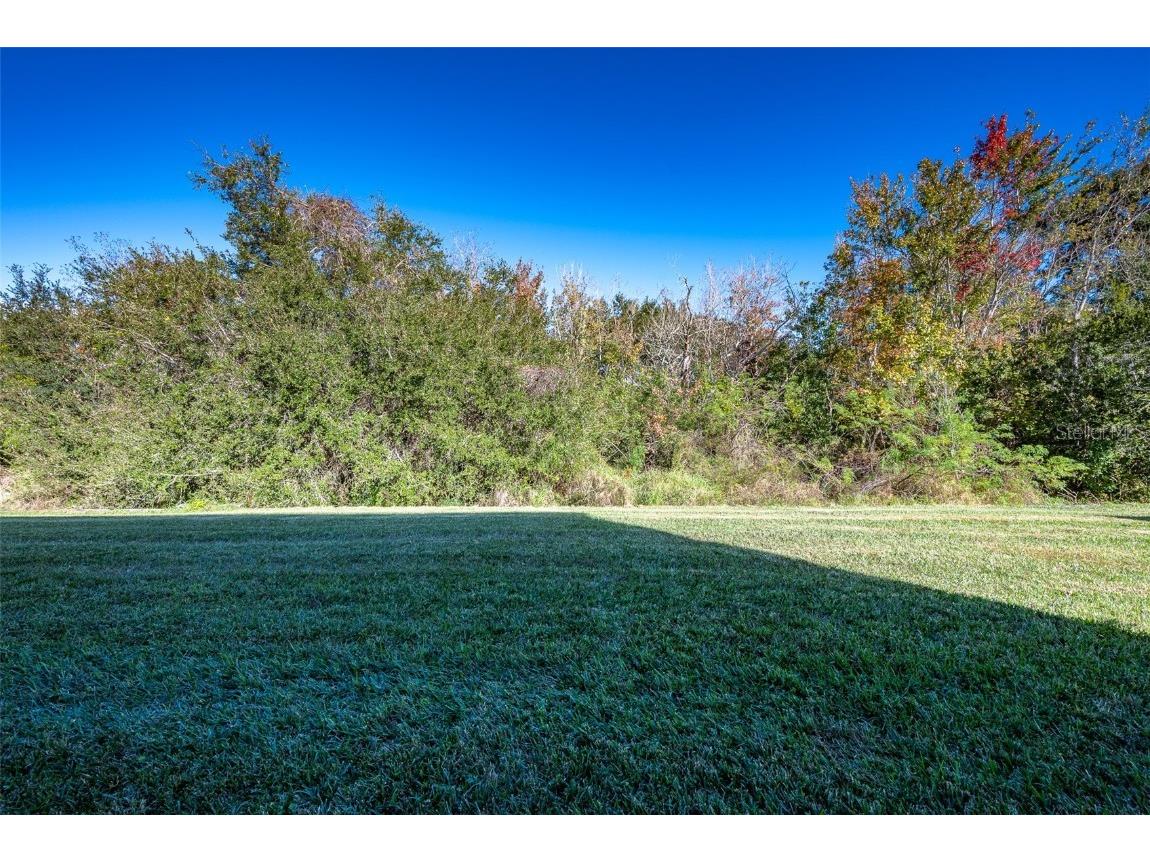 207 Black Springs Lane Winter Garden FL 34787 O6337356 image11