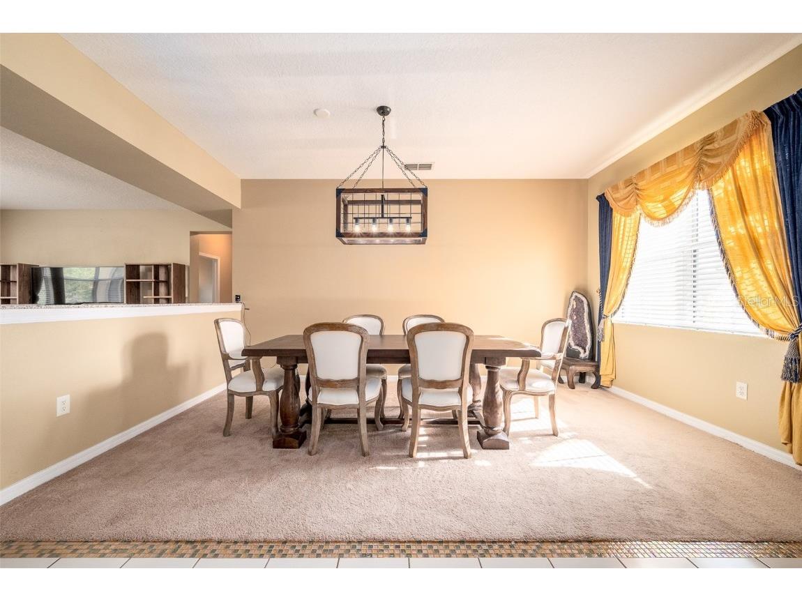 207 Black Springs Lane Winter Garden FL 34787 O6337356 image14