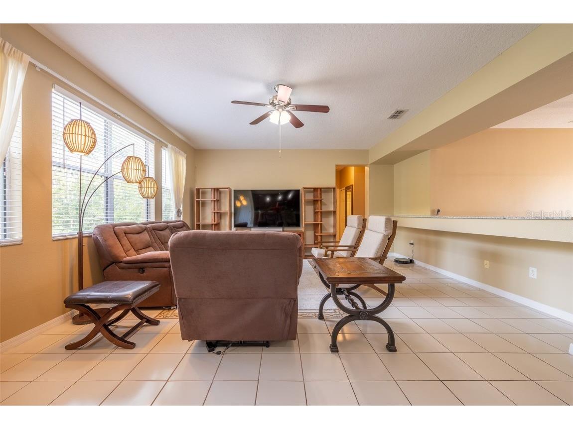 207 Black Springs Lane Winter Garden FL 34787 O6337356 image20