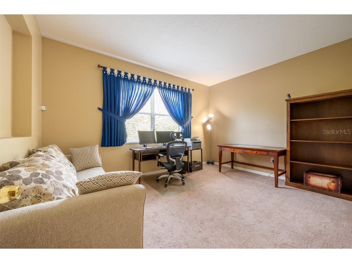 207 Black Springs Lane Winter Garden FL 34787 O6337356 image25