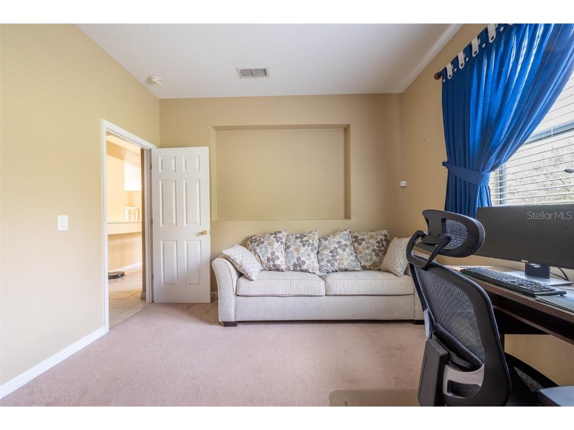 207 Black Springs Lane Winter Garden FL 34787 O6337356 image26