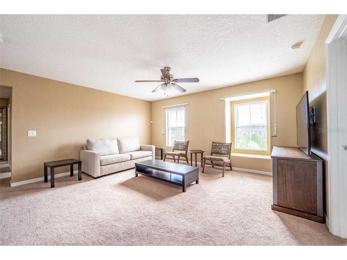 207 Black Springs Lane Winter Garden FL 34787 O6337356 image27