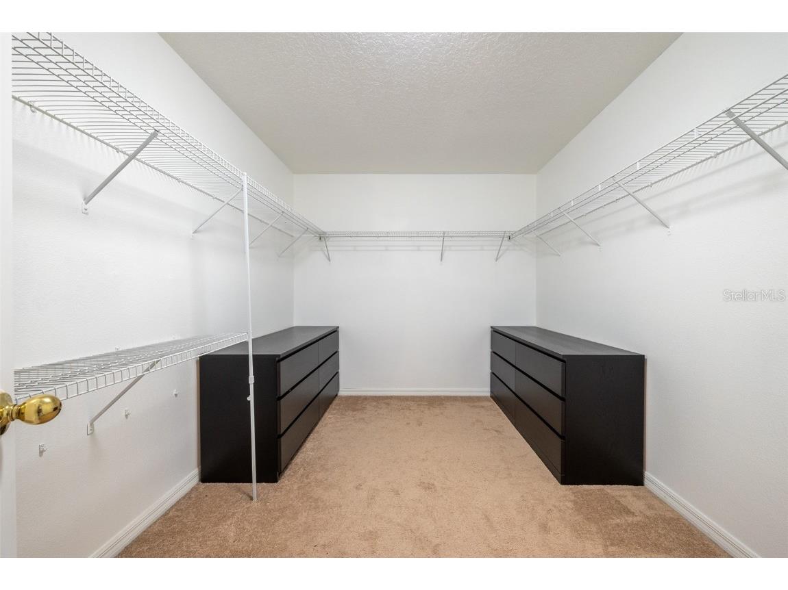 207 Black Springs Lane Winter Garden FL 34787 O6337356 image34