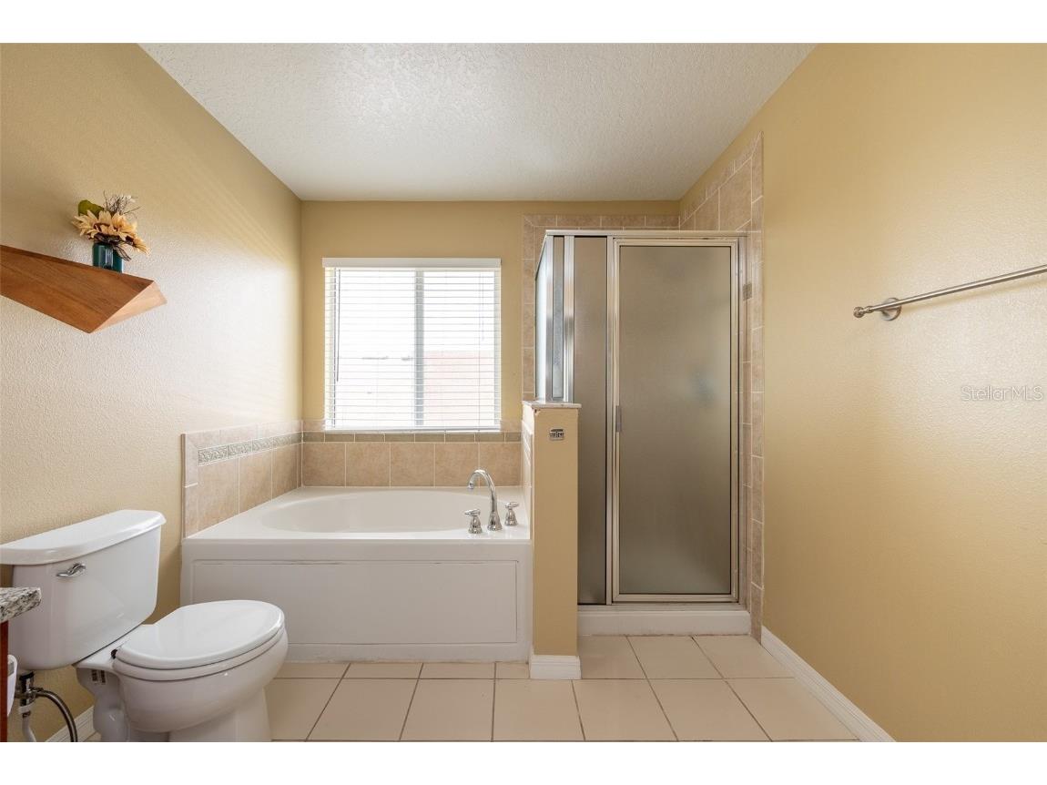 207 Black Springs Lane Winter Garden FL 34787 O6337356 image36