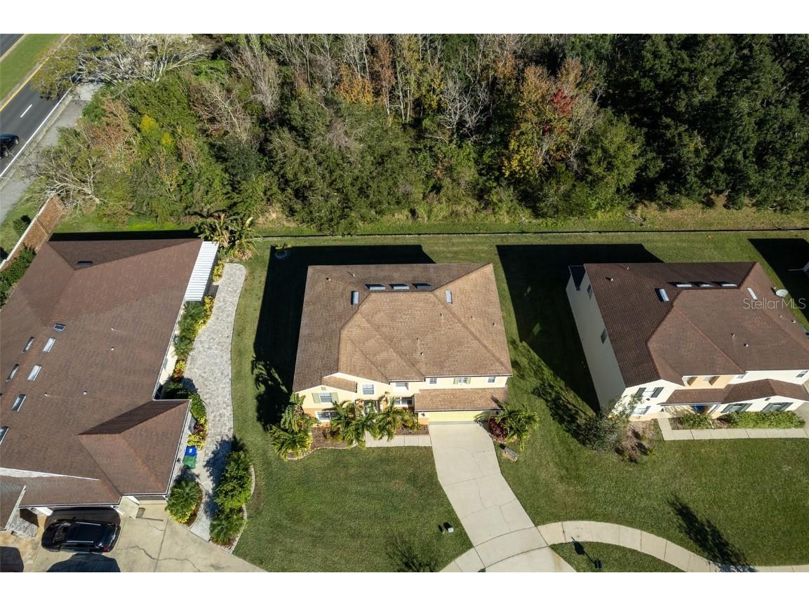 207 Black Springs Lane Winter Garden FL 34787 O6337356 image46