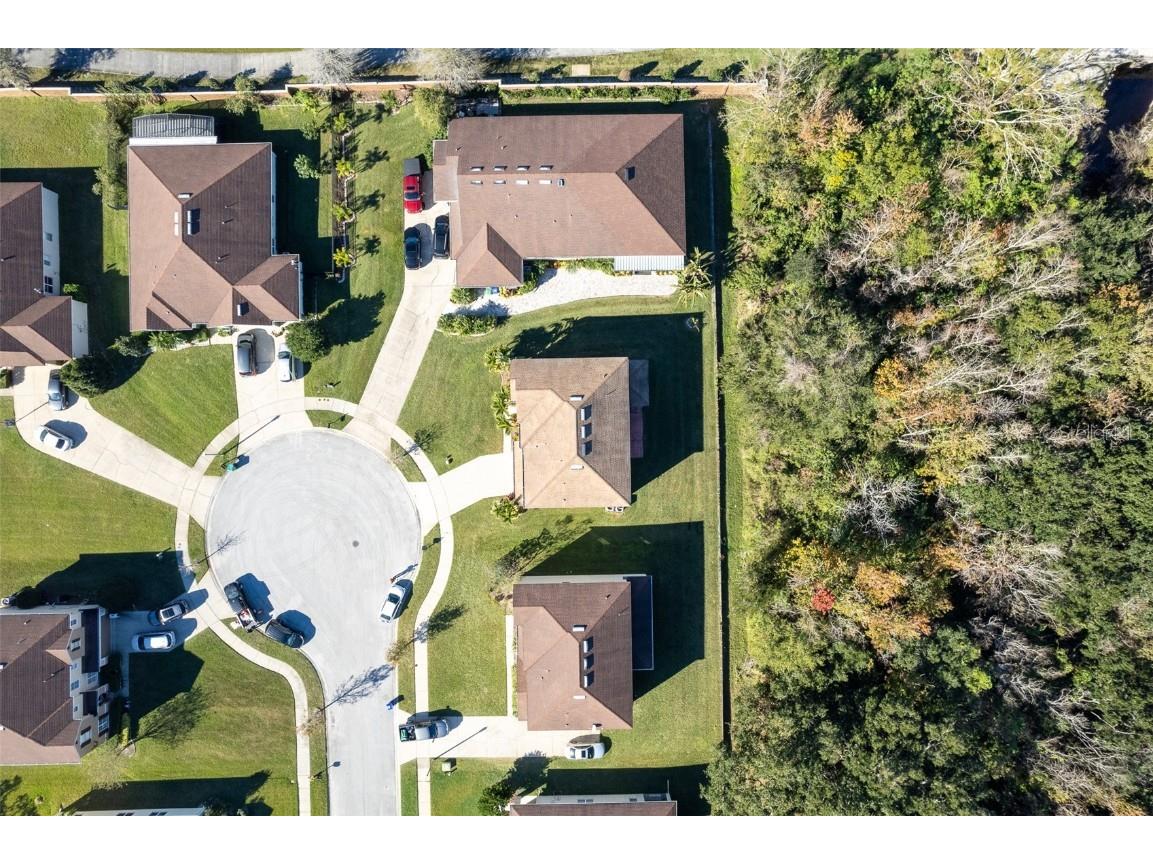 207 Black Springs Lane Winter Garden FL 34787 O6337356 image48