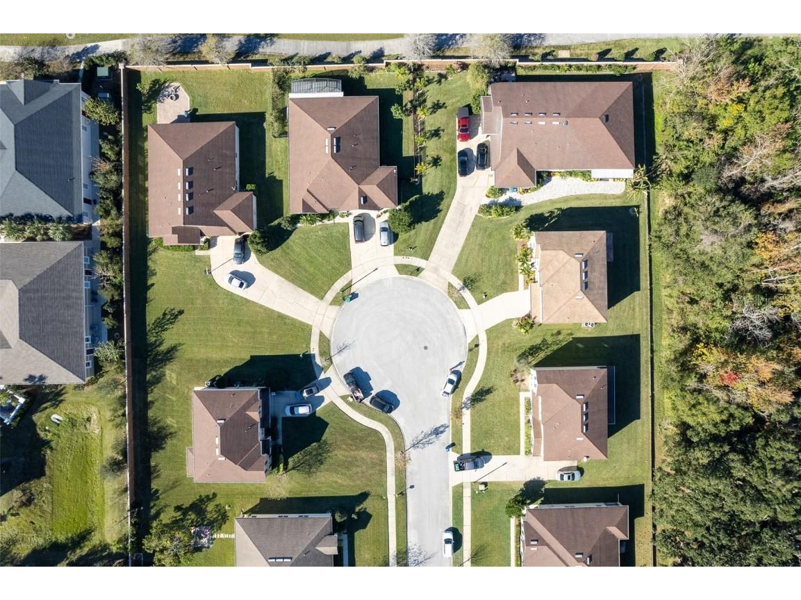 207 Black Springs Lane Winter Garden FL 34787 O6337356 image49