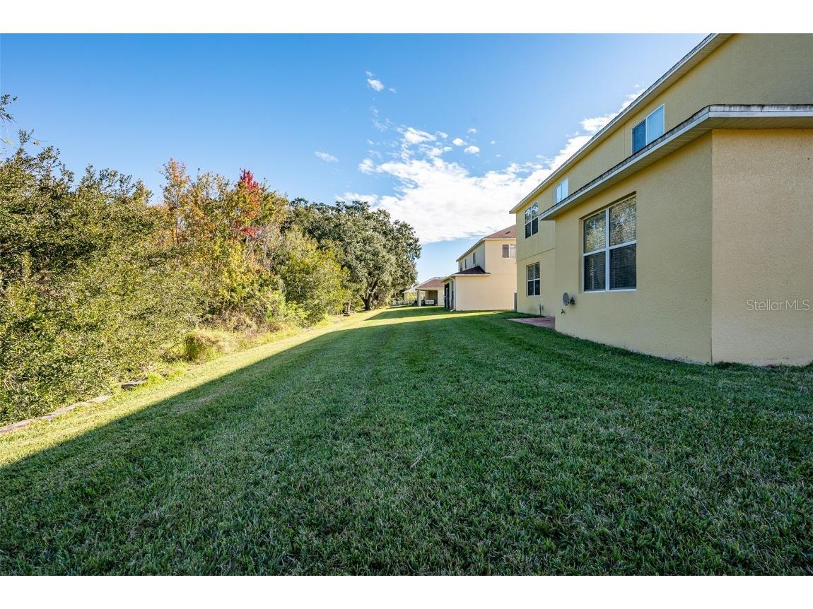 207 Black Springs Lane Winter Garden FL 34787 O6337356 image9