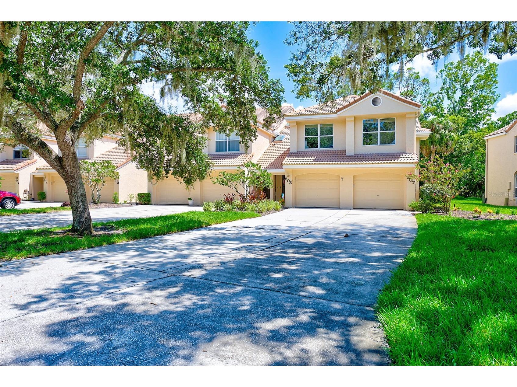 207 Clays Trail #207 Oldsmar FL 34677 TB8437924 image1