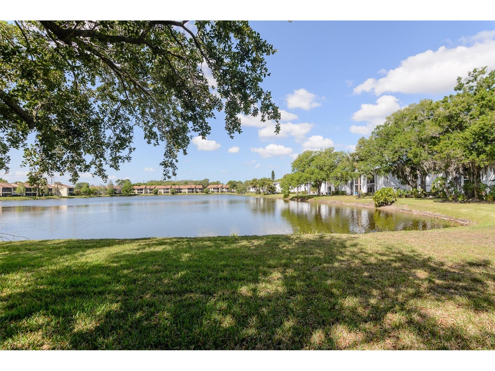 207 Cypress Lane Oldsmar FL 34677 TB8492844 image20