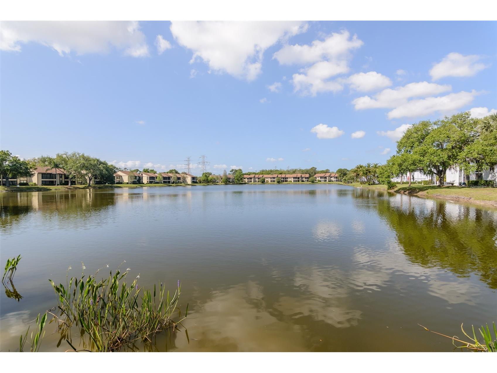 207 Cypress Lane Oldsmar FL 34677 TB8492844 image21