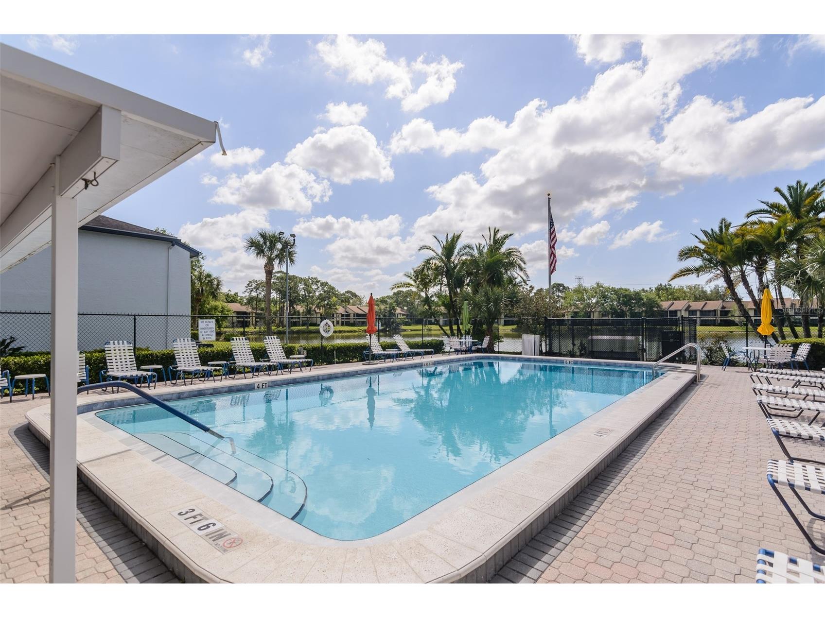207 Cypress Lane Oldsmar FL 34677 TB8492844 image22