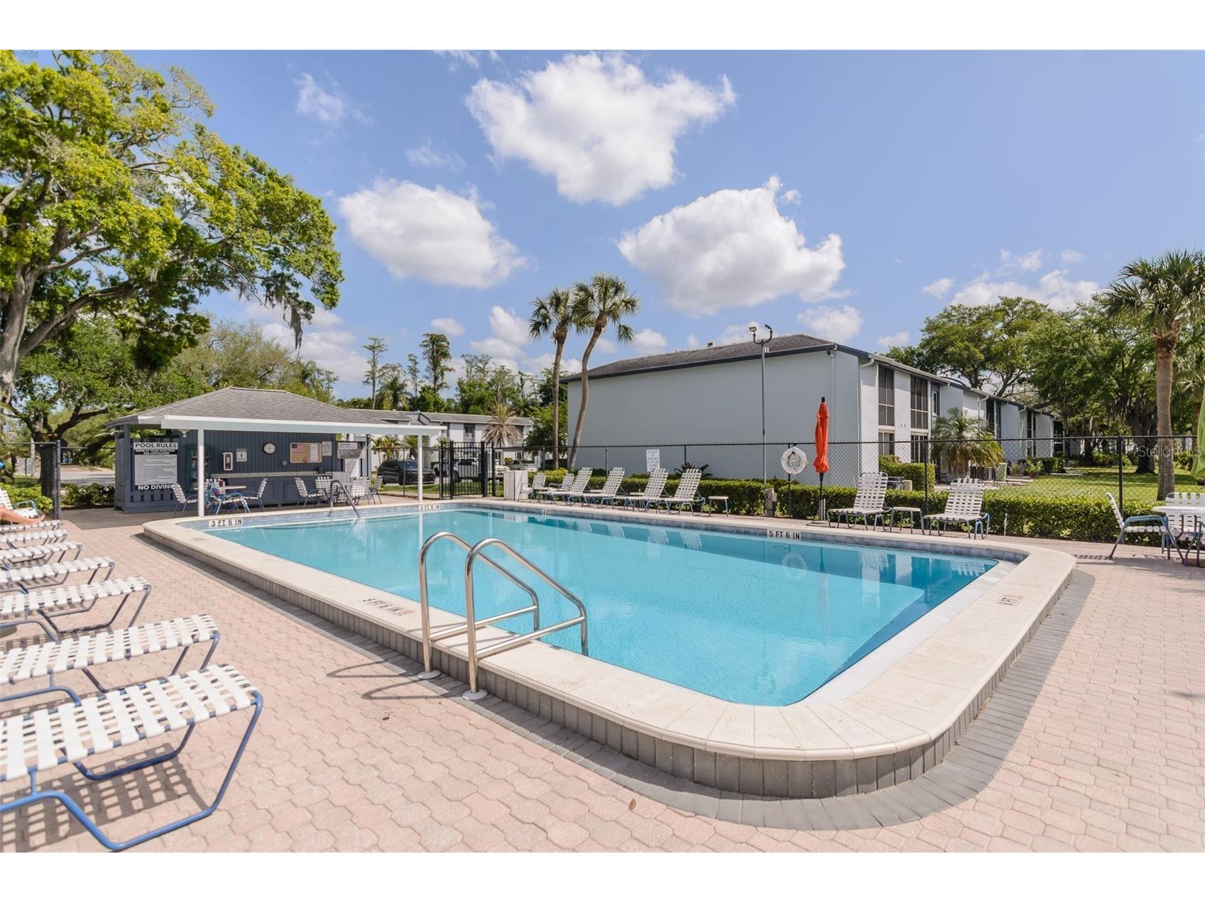 207 Cypress Lane Oldsmar FL 34677 TB8492844 image23