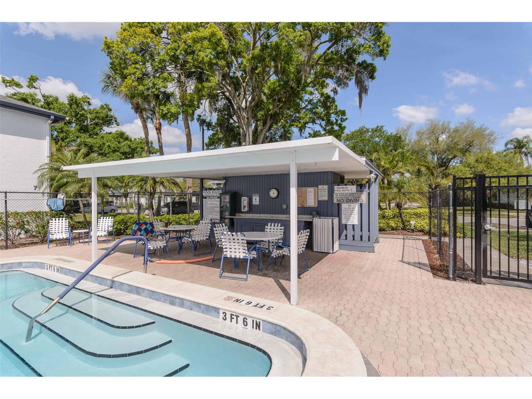 207 Cypress Lane Oldsmar FL 34677 TB8492844 image25