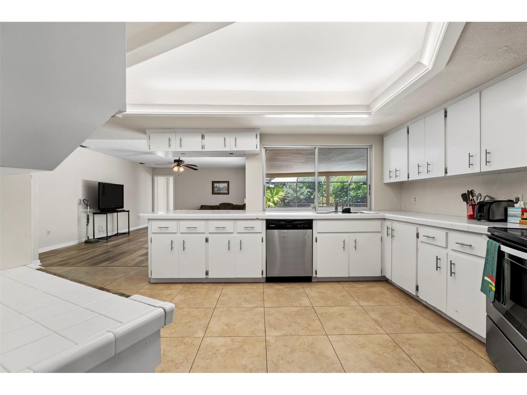 207 Dunbridge Drive Palm Harbor FL 34684 TB8506304 image12