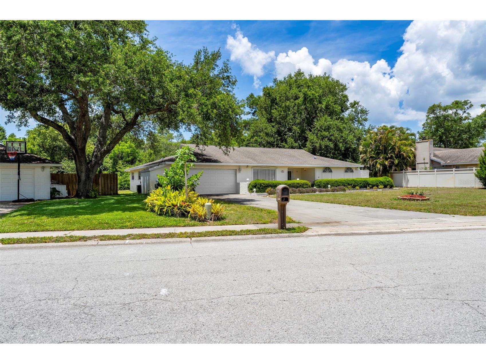 207 Dunbridge Drive Palm Harbor FL 34684 TB8506304 image2