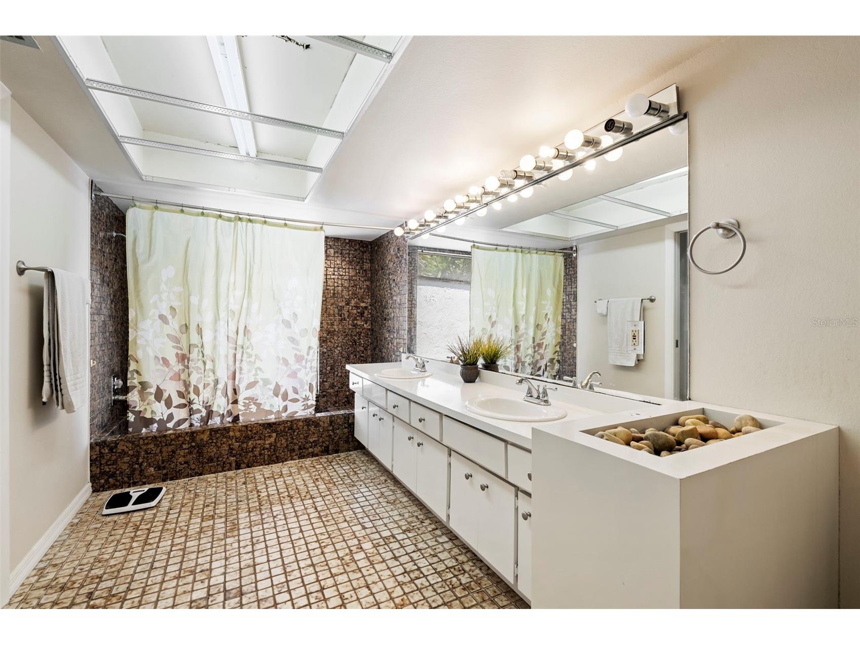 207 Dunbridge Drive Palm Harbor FL 34684 TB8506304 image22