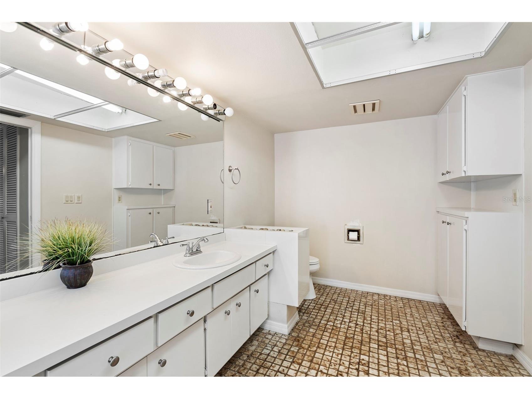 207 Dunbridge Drive Palm Harbor FL 34684 TB8506304 image23
