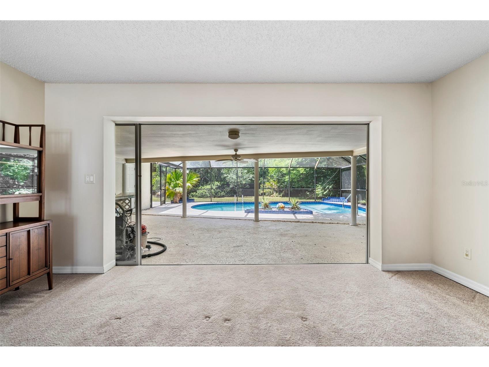 207 Dunbridge Drive Palm Harbor FL 34684 TB8506304 image24