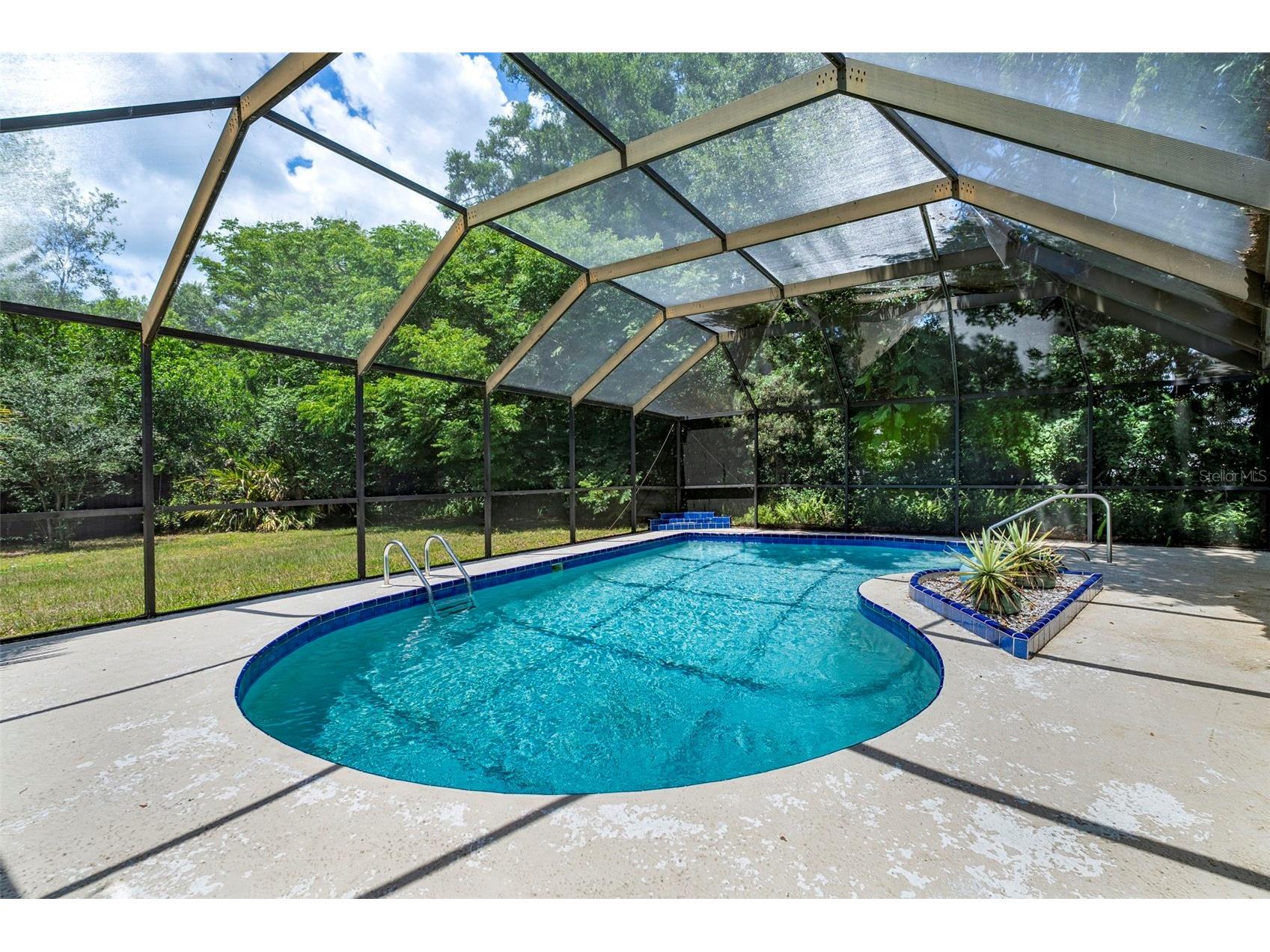 207 Dunbridge Drive Palm Harbor FL 34684 TB8506304 image26