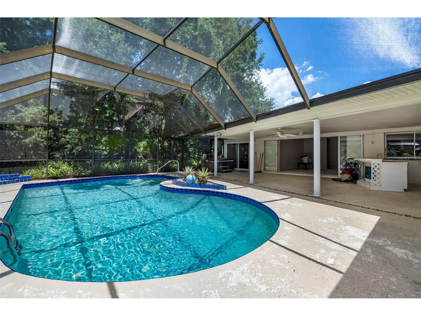 207 Dunbridge Drive Palm Harbor FL 34684 TB8506304 image27