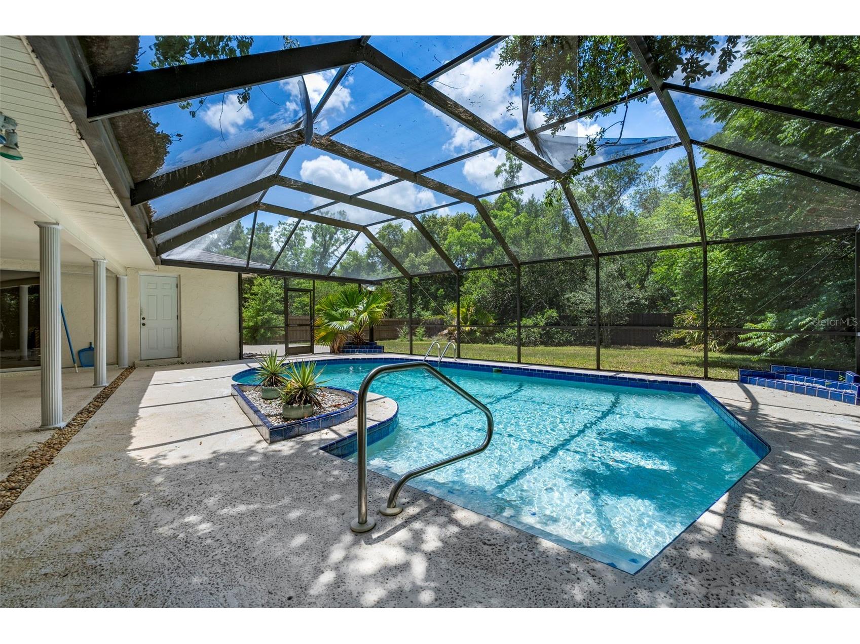 207 Dunbridge Drive Palm Harbor FL 34684 TB8506304 image29