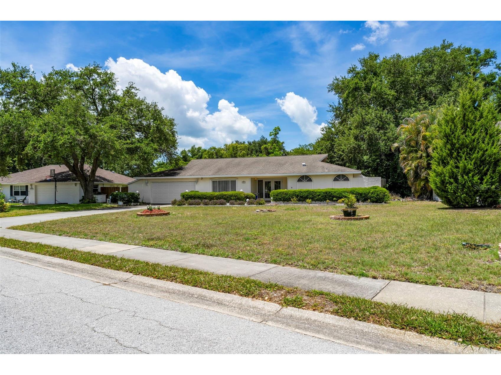 207 Dunbridge Drive Palm Harbor FL 34684 TB8506304 image3