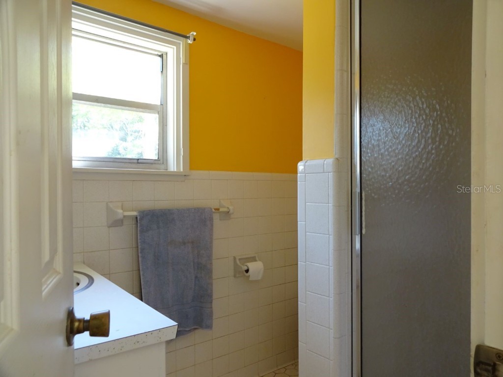 207 E 2nd Avenue Pierson FL 32180 V4933243 image30