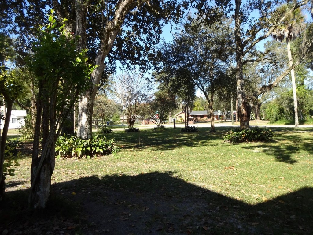 207 E 2nd Avenue Pierson FL 32180 V4933243 image45