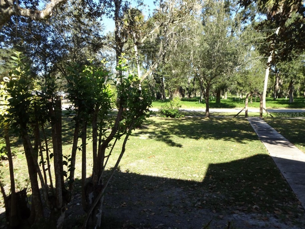 207 E 2nd Avenue Pierson FL 32180 V4933243 image46