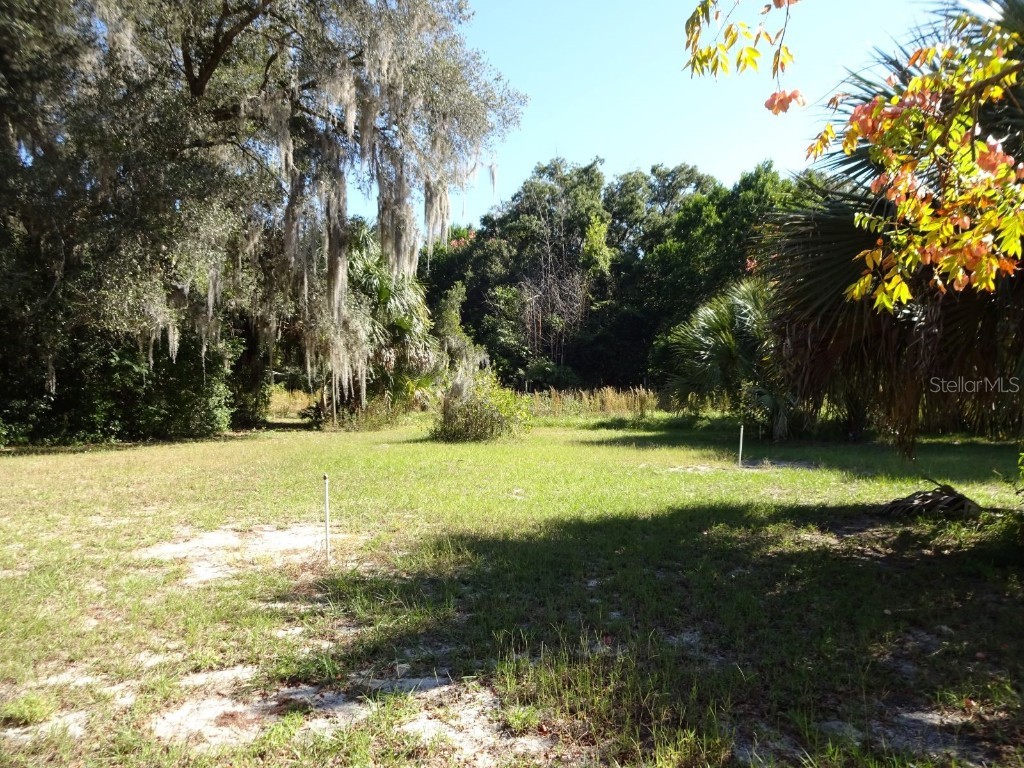 207 E 2nd Avenue Pierson FL 32180 V4933243 image49