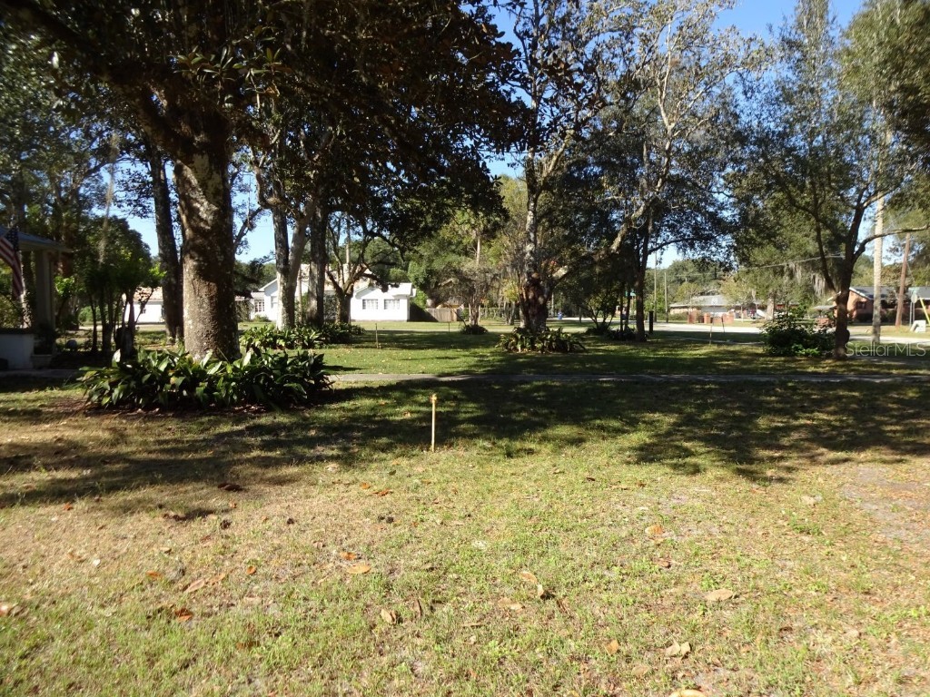 207 E 2nd Avenue Pierson FL 32180 V4933243 image6