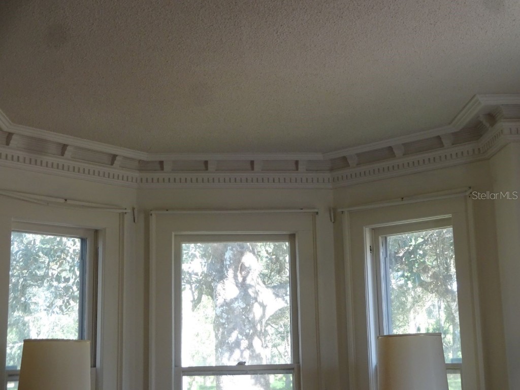 207 E 2nd Avenue Pierson FL 32180 V4933243 image8