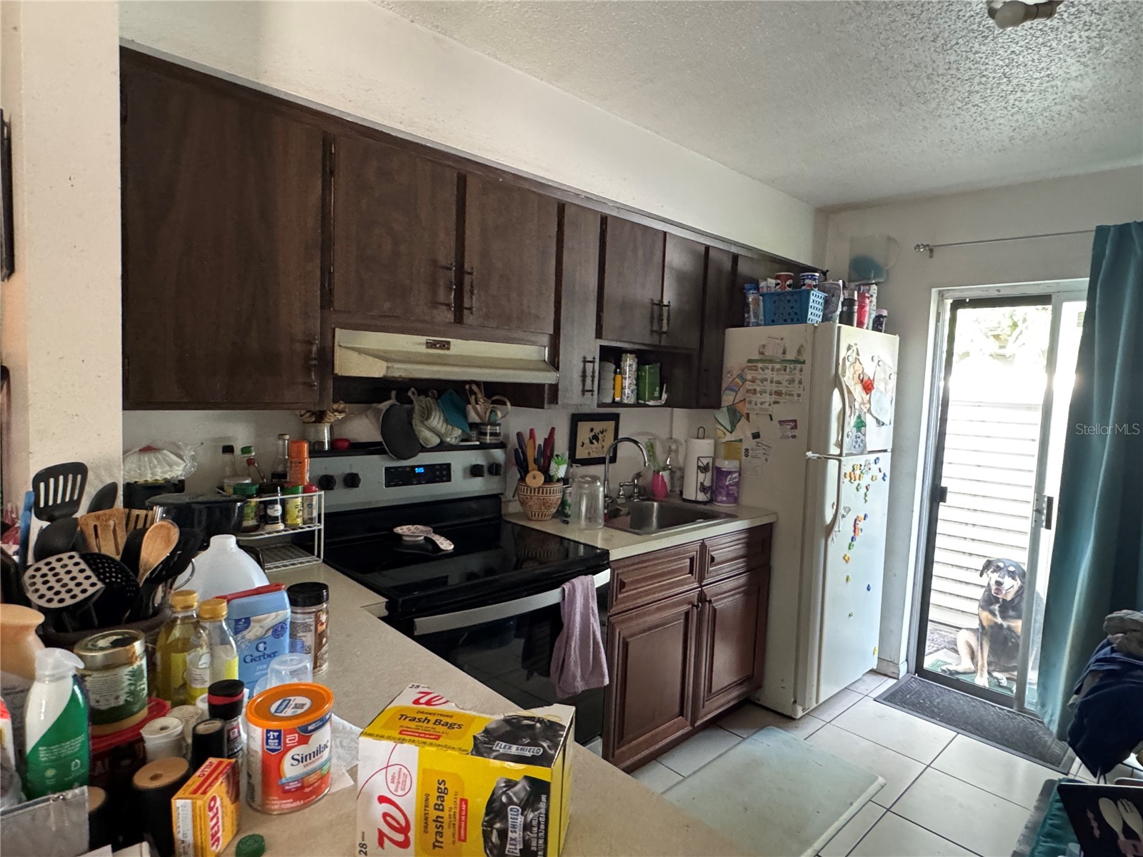 207 E Buchanon Avenue Orlando FL 32809 O6405052 image17