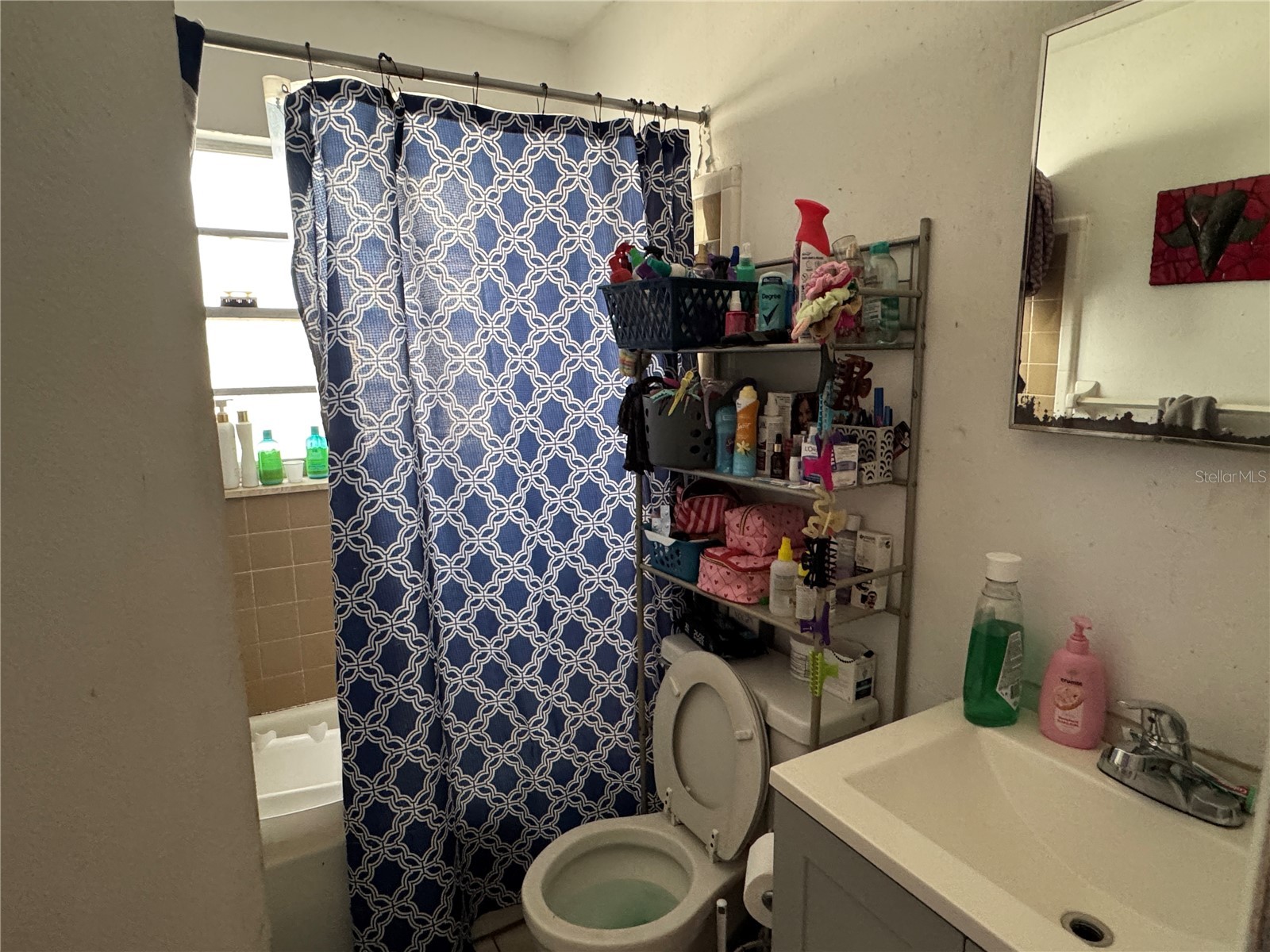 207 E Buchanon Avenue Orlando FL 32809 O6405052 image20