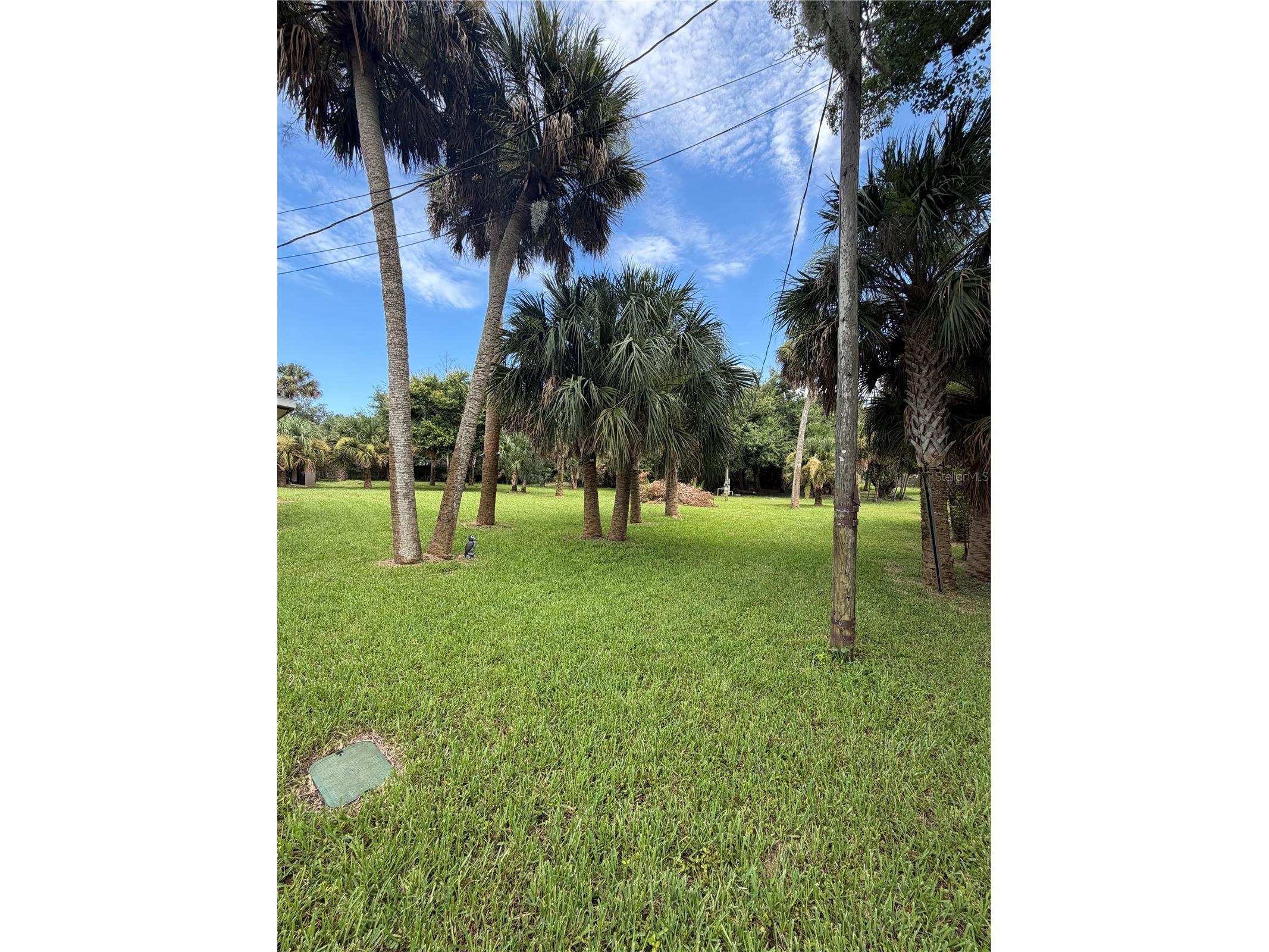 207 E Halifax Avenue Oak Hill FL 32759 S5153386 image43