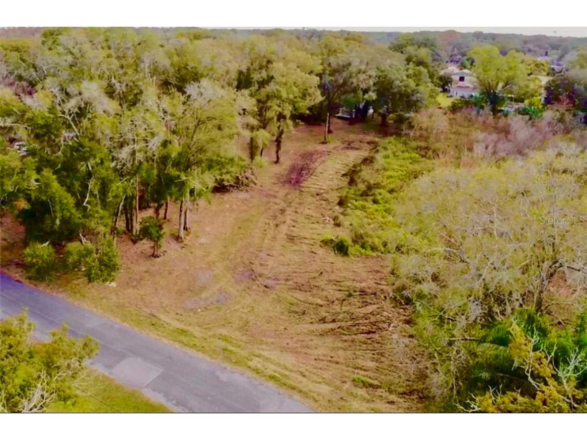 207 E Lutz Lake Fern Road Lutz FL 33549 G5066560 image1