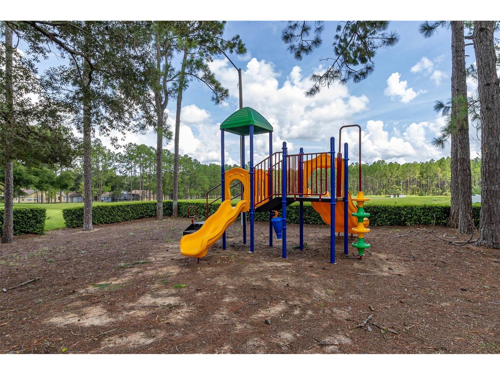 207 Elberton Drive Davenport FL 33897 S5148517 image43