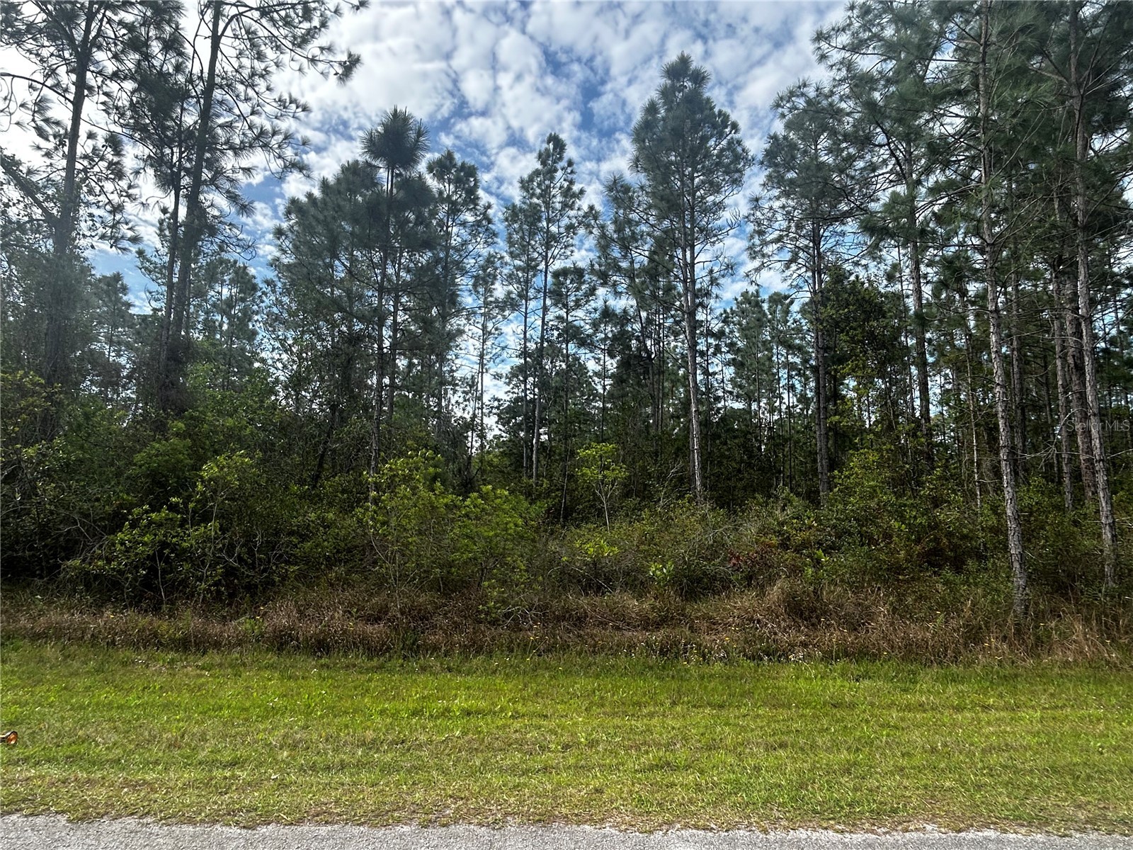 207 Gardenia Drive Lake Wales FL 33855 P4937261 image1