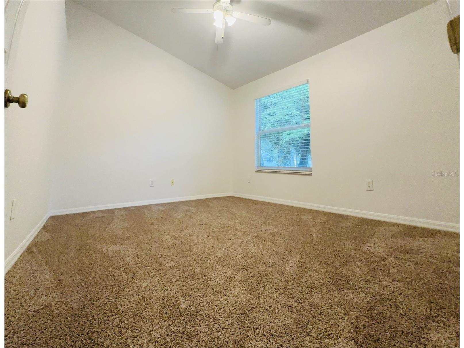 207 Golden Pond Court Valrico FL 33594 S5143906 image10