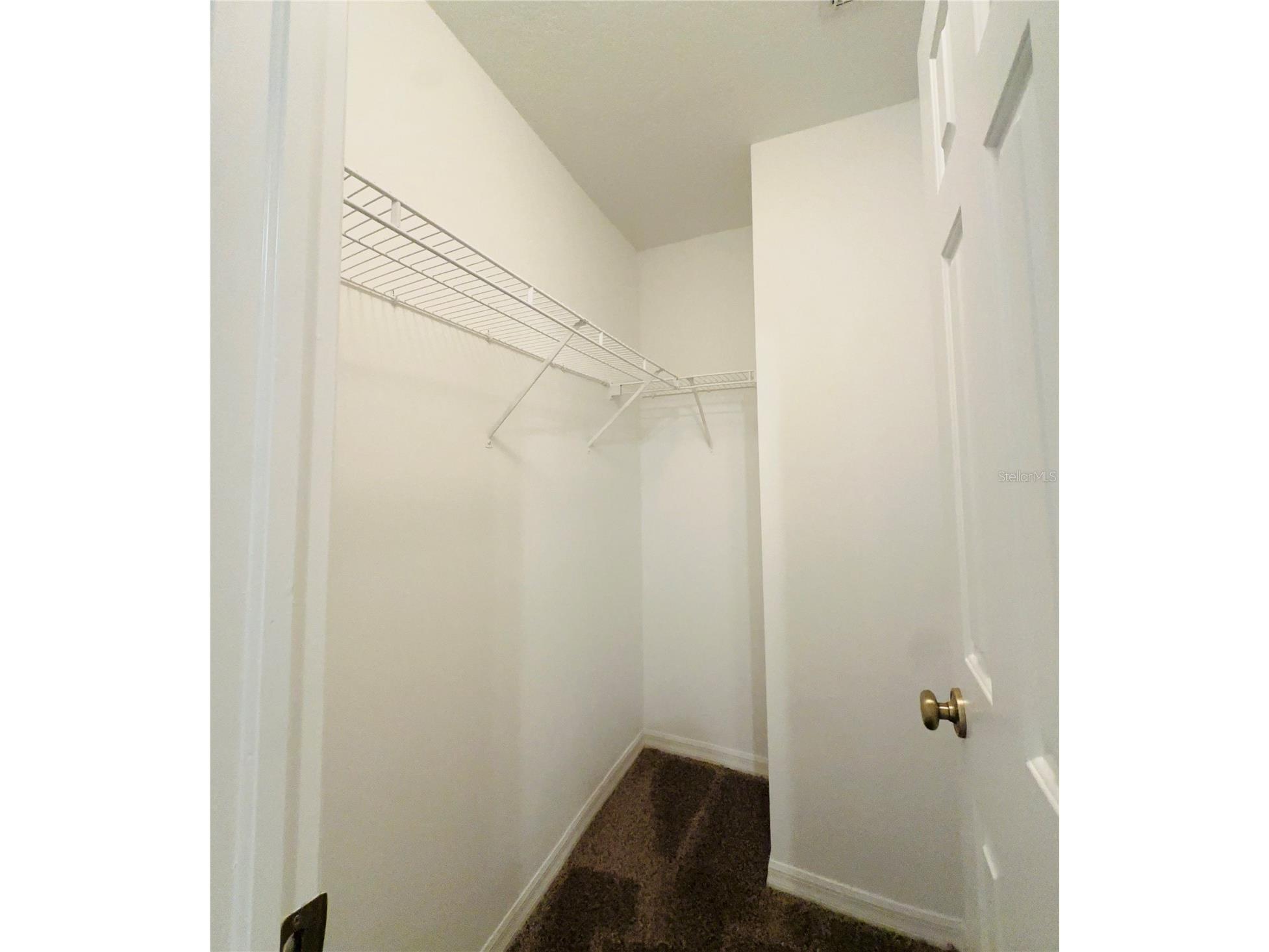 207 Golden Pond Court Valrico FL 33594 S5143906 image11