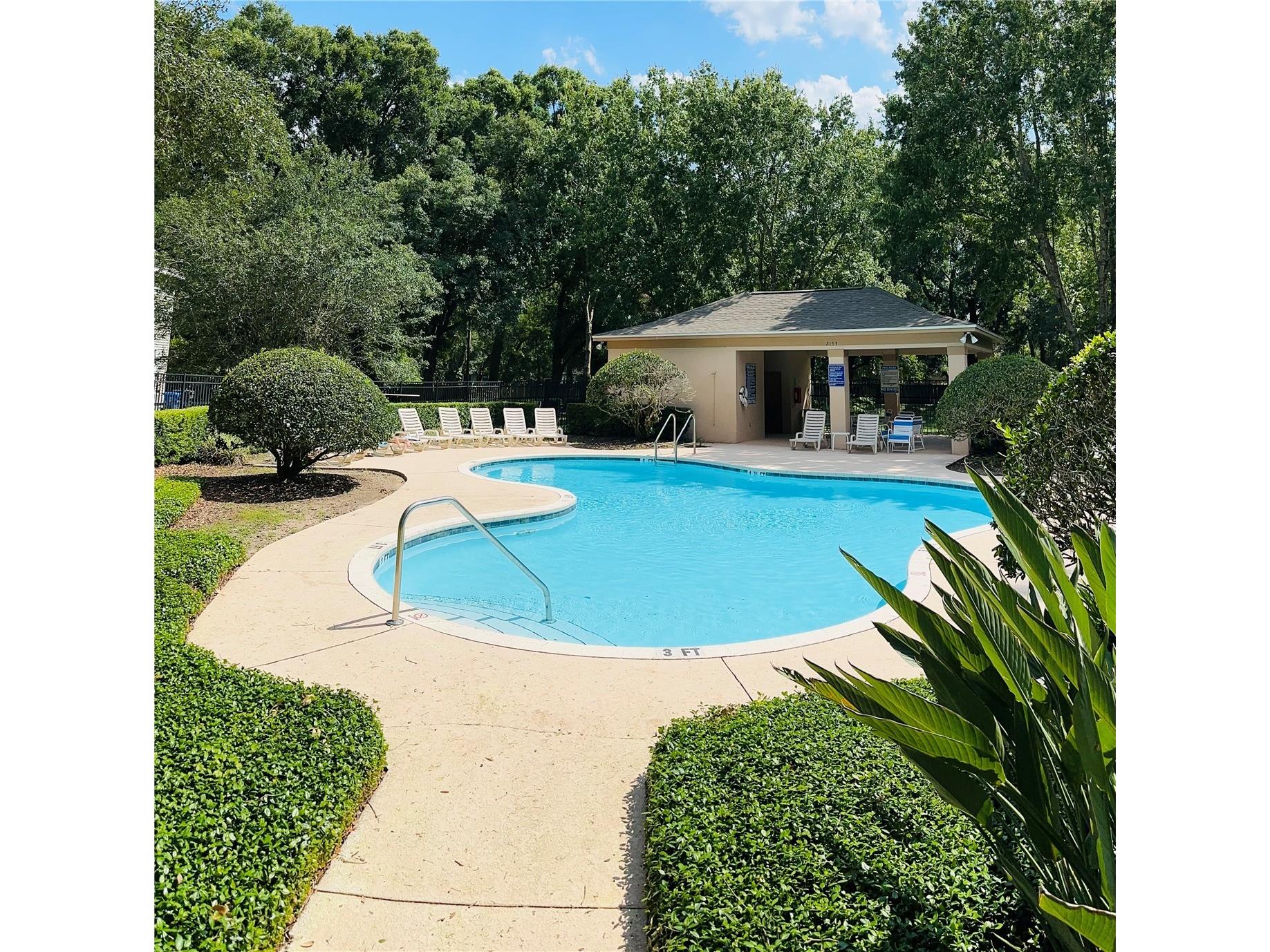 207 Golden Pond Court Valrico FL 33594 S5143906 image28