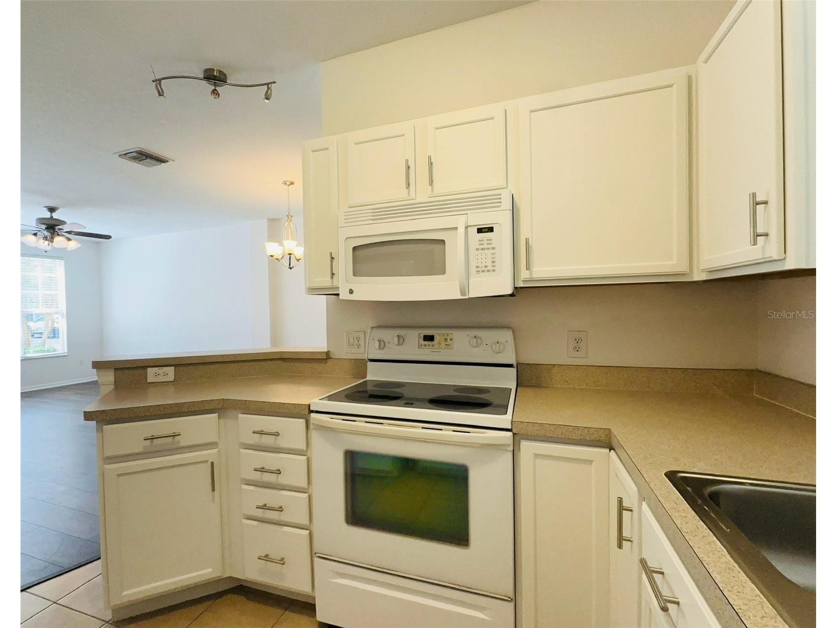 207 Golden Pond Court Valrico FL 33594 S5143906 image5