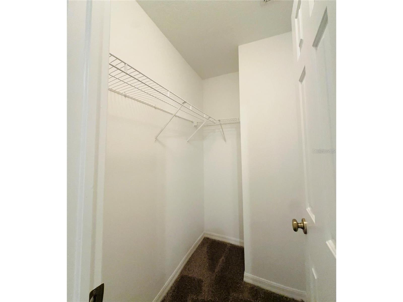 207 Golden Pond Court Valrico FL 33594 S5148036 image12