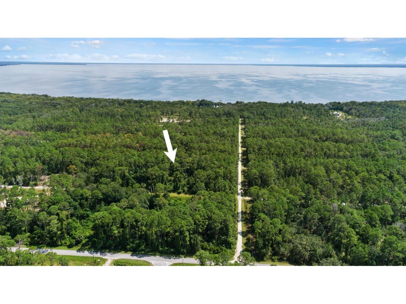 207 Hazel Avenue Georgetown FL 32139 - LAKE GEORGE & ST. JOHNS RIVER T3467380 image1